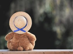 Peluche solitaire